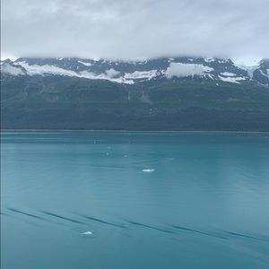 Meet your Posher, Lyndi